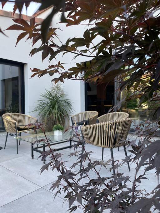 Villa Moderne Avec Piscine アルビ エクステリア 写真